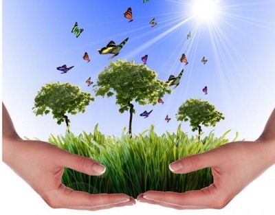 吳道洪 以節能減排技術創新與推廣服務，為中國實體經濟注入綠色新動力